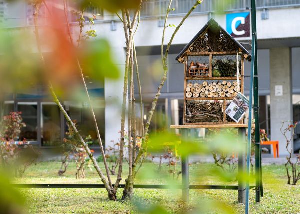 Photo : Cour intérieure du campus Bastide © Gautier Dufau