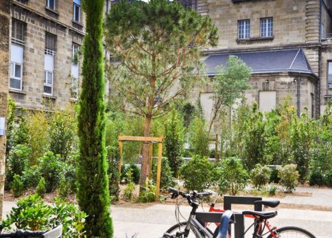 Photo Cour Leyteire - Campus Victoire © Paul Bensamoun