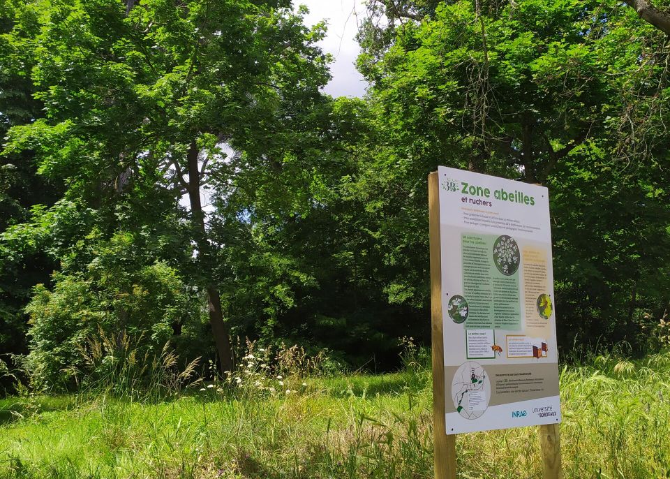 L'université s'engage à préserver, restaurer et favoriser la biodiversité © université de Bordeaux