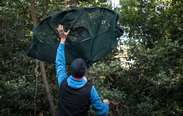 Photo : Les podcasts immersifs Chroniques de la forêt expérimentale font découvrir de nombreux métiers de la recherche © université de Bordeaux